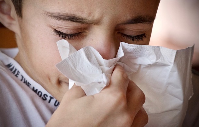 Ako si zariadiť domácnosť, keď ste alergik alebo ho máte v rodine? 