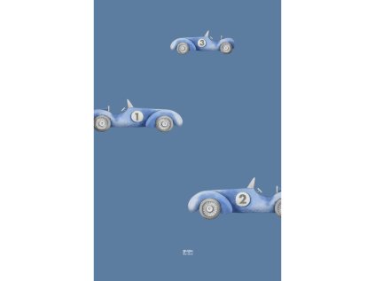 RACING CARS