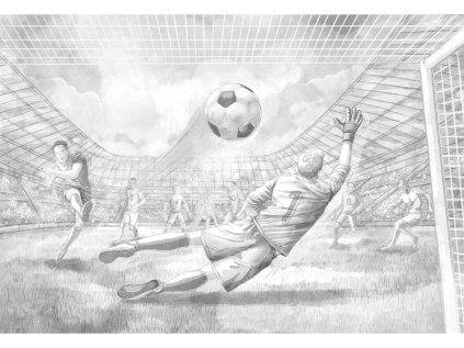 25832 velkoplosna tapeta mural fotbal do detskeho pokoje