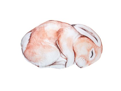 10726 11 roztomily detsky dekoracni polstarek kralicek