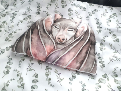 netopýr