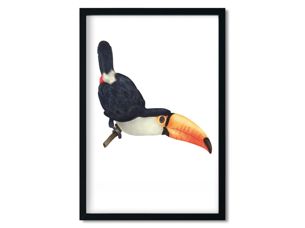 E-shop Plagát na stenu TUKAN do detskej izby Zvoľte rozmer: 20 x 30 cm