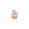 CAPYBARA