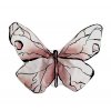 polstarek motyl